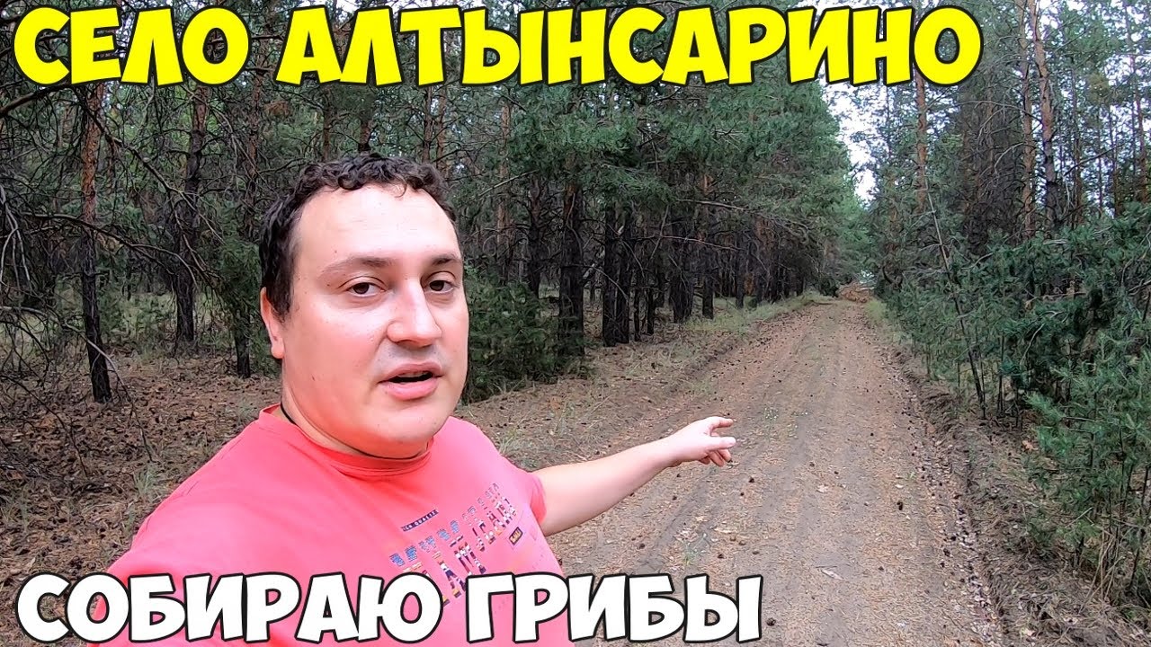 Село Алтынсарино, Садовое. как живут люди. Собираю грибы