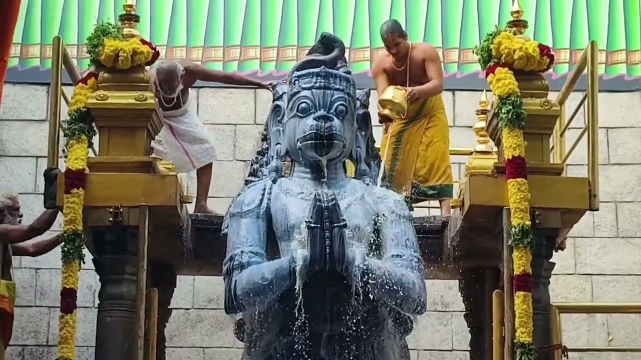 1008 லிட்டர் பால் அபிஷேகத்தில் ஆஞ்சிநேயர்