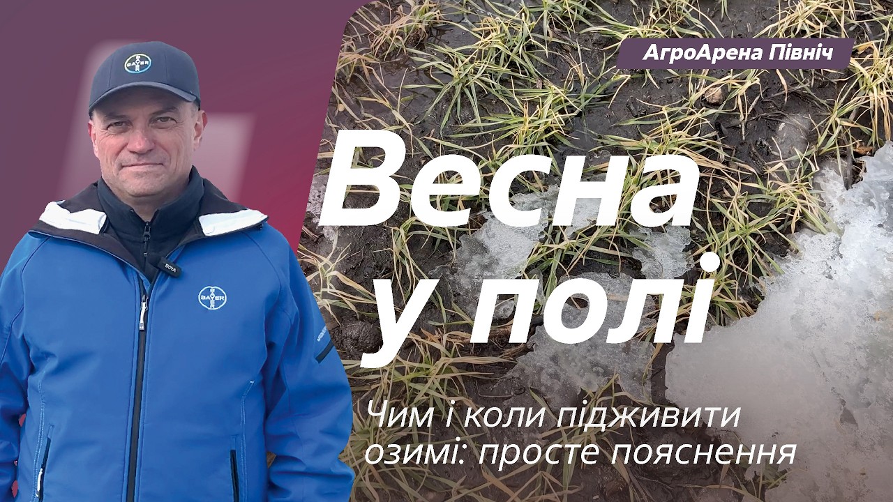 Весна у полі: Чим і коли підживити озимі: просте пояснення // Життя Байєр АгроАрен
