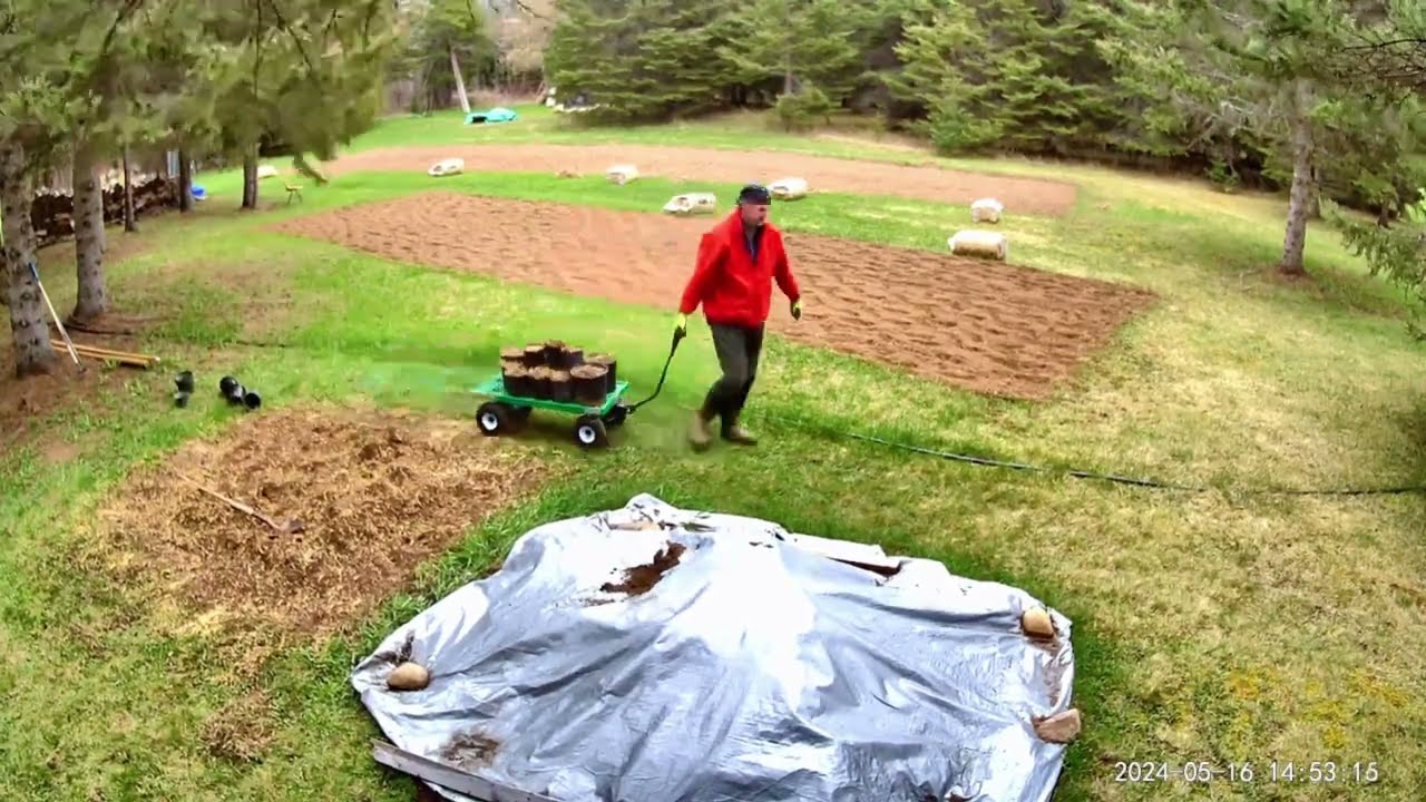 Tilling Straw for Cow Manure Pile and Filling Planting Pots for Tomato Transplanting at Adventure 38