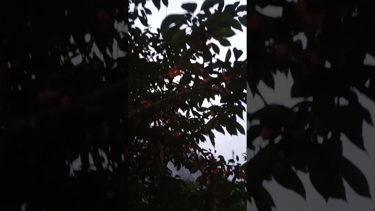 balltit fort skardoo