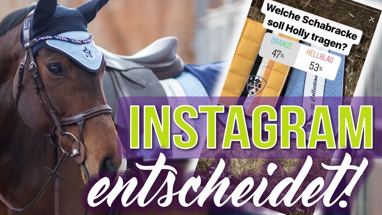 IHR bestimmt mein FMA - mit INSTAGRAM UMFRAGEN | BinieBo