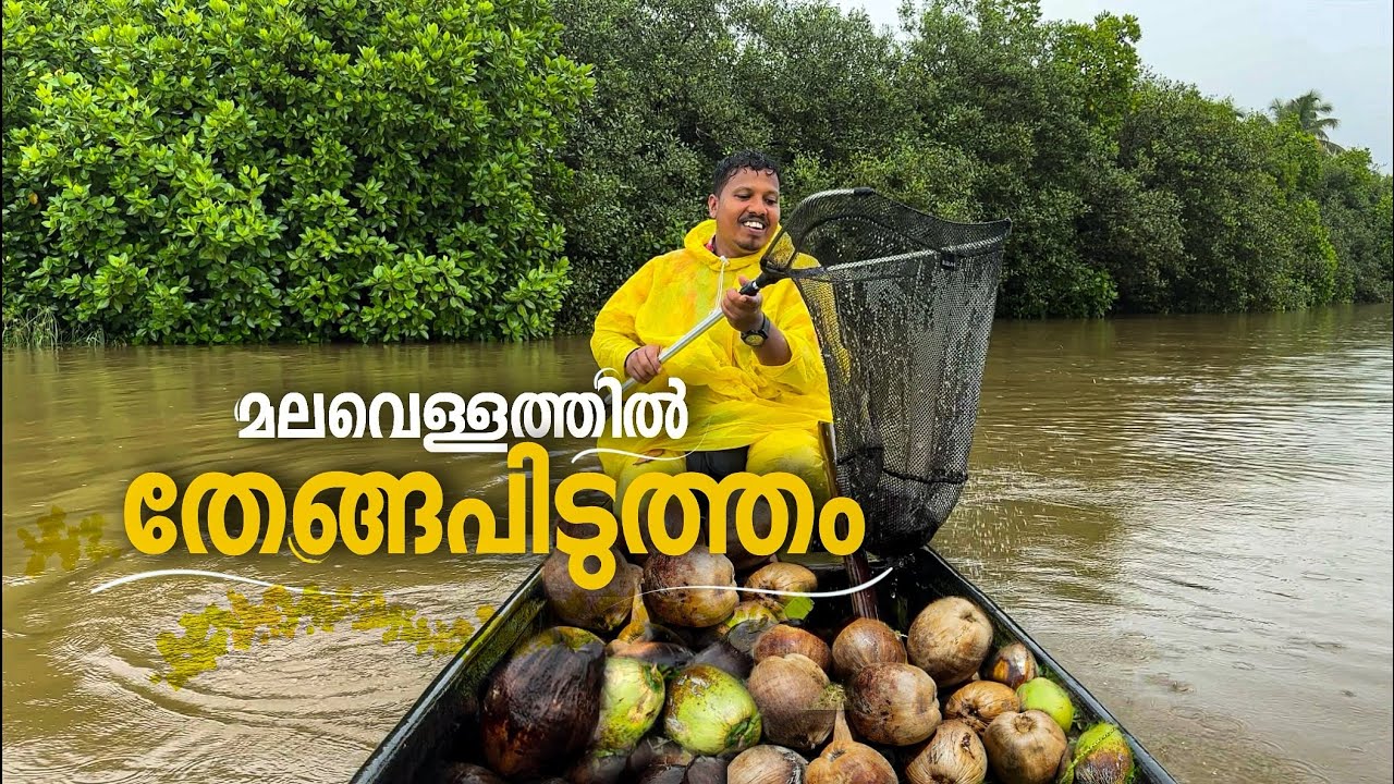 മലവെള്ളത്തിൽ തേങ്ങപിടുത്തം|vadakkan vlog ||rajeesh vadakkan||malayalam vlog channel