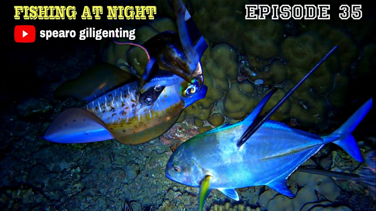 NIGHT SPEARFISHING EPISODE 35 || FISH HUNTING AT NIGHT