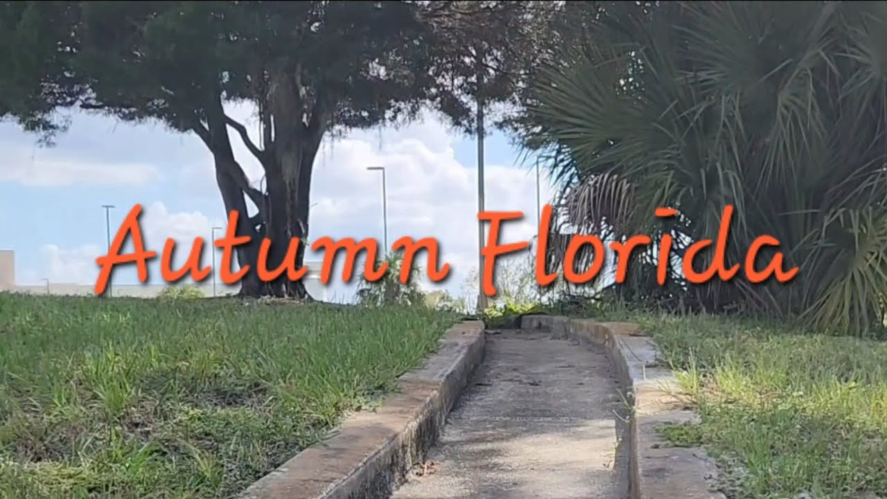 Autumn Florida 
