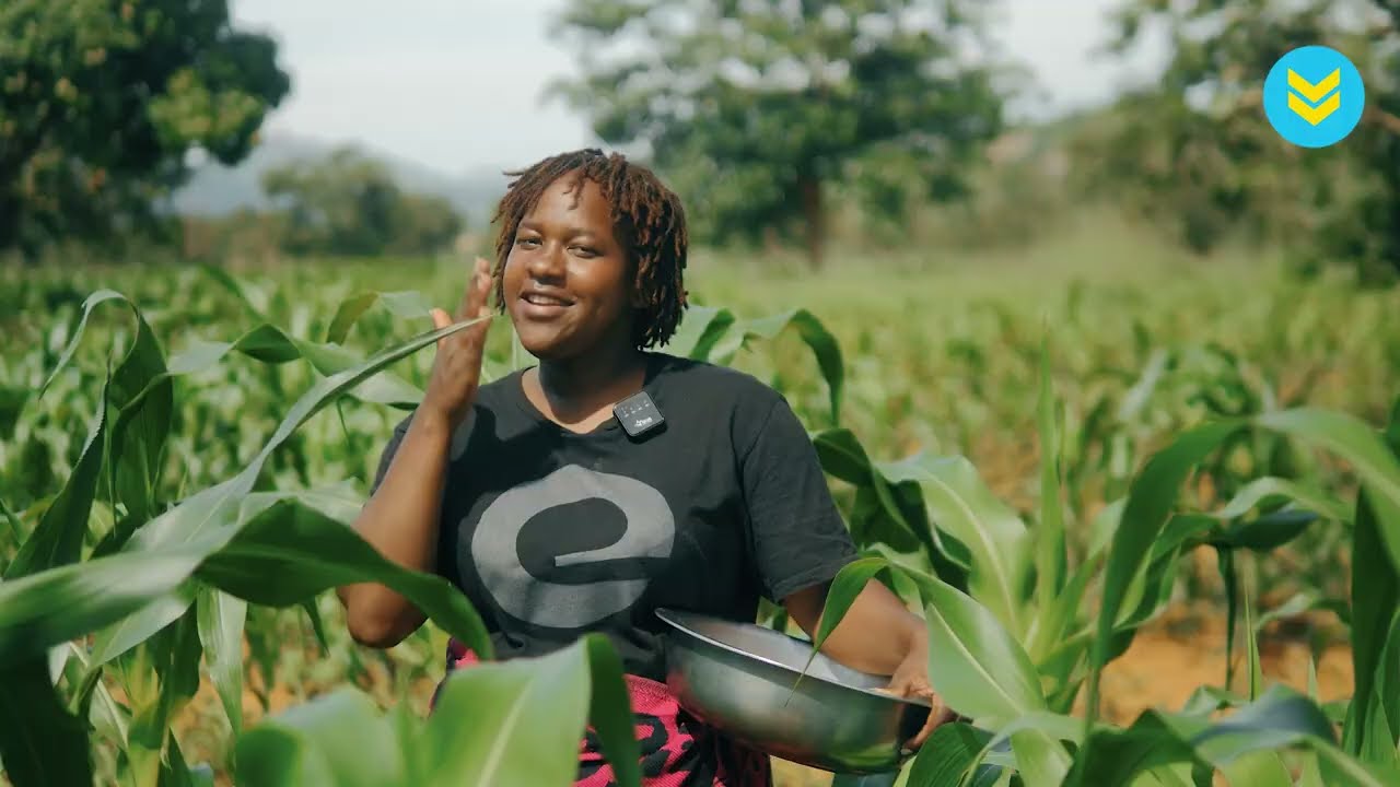 Thinking of Moving Back to Zimbabwe? These are the reasons WHY you should - Wekwachiroodza
