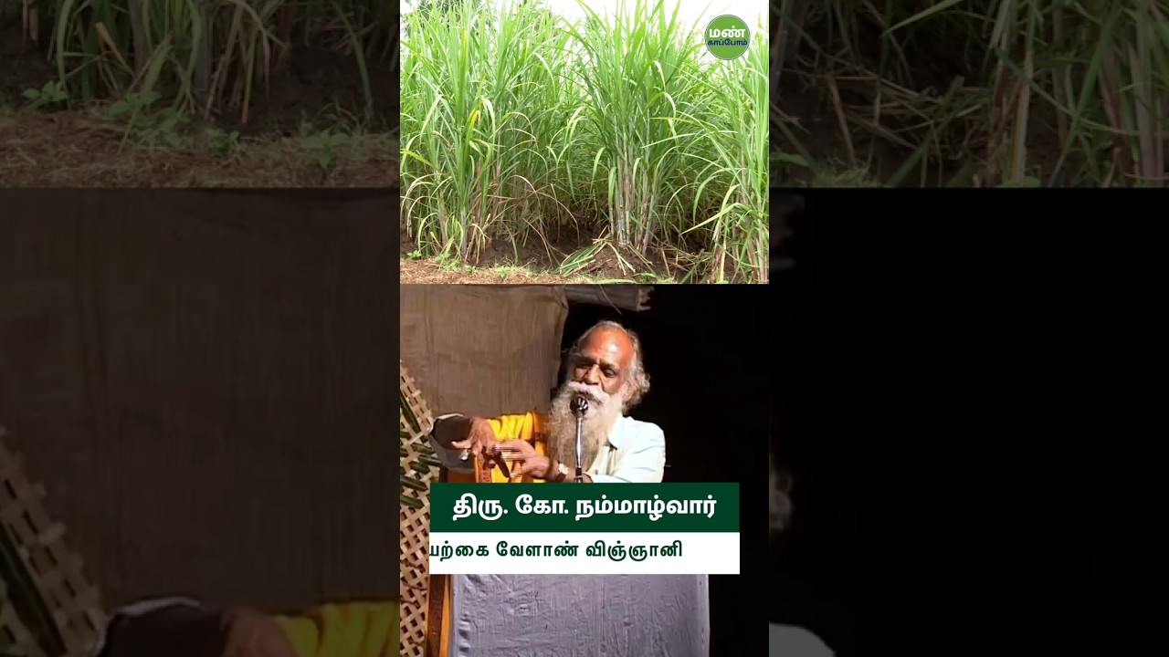 மரத்தின் இலை தங்கத்துக்கு சமம்! நம்மாழ்வார் அறிவியல்!  #nammalvar #tree #nammazhvar