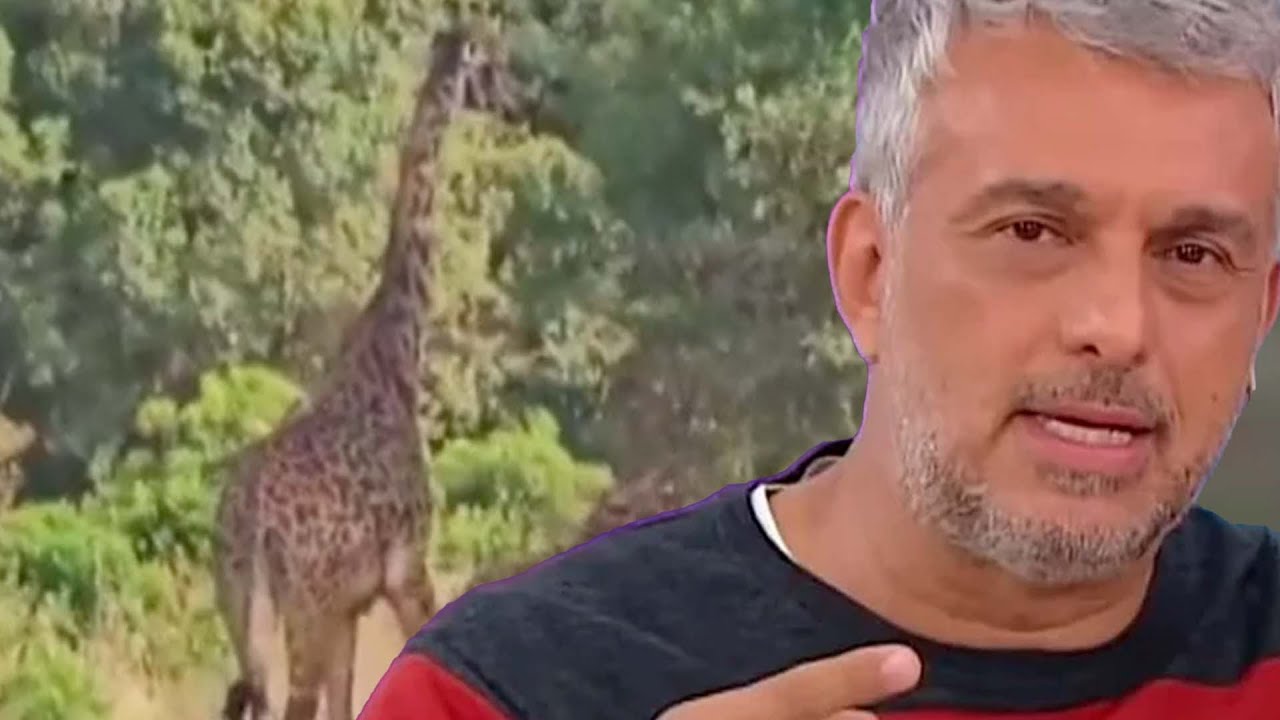 EL EMOCIONANTE VIAJE INTERIOR DE MARIO MASSACCESI: 