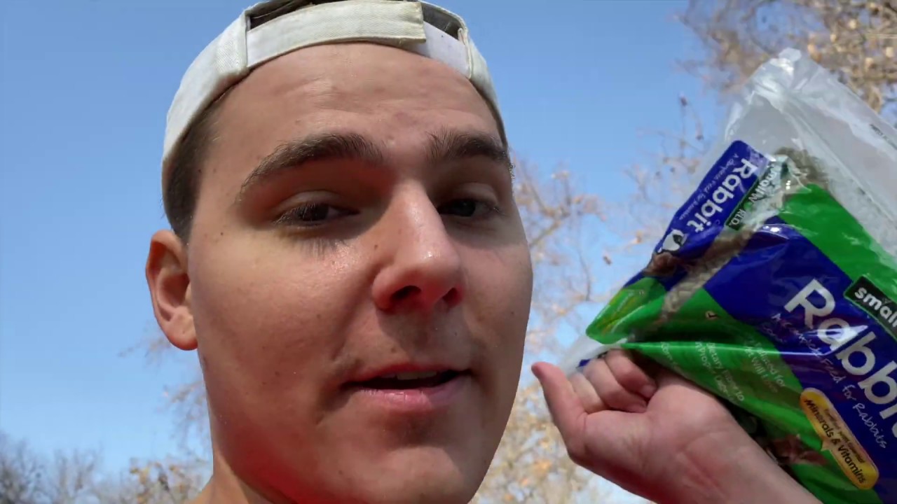 how i get stuff for free vlog