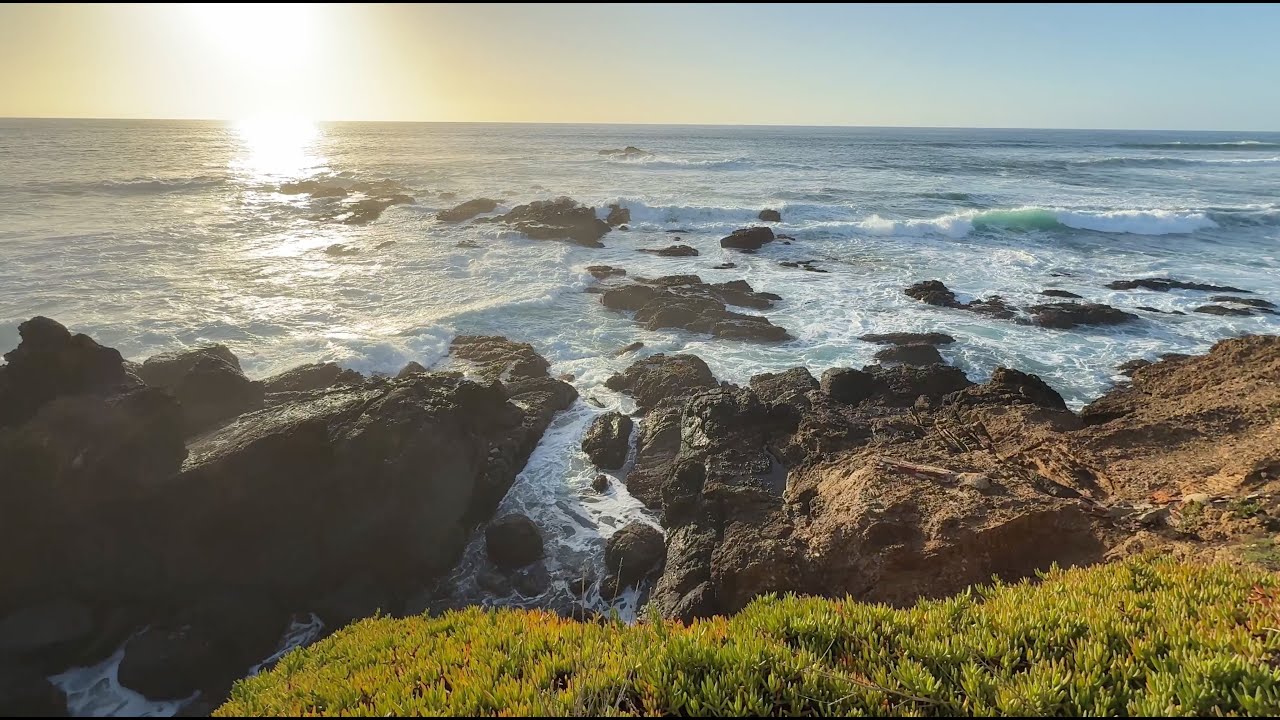 Recording Sounds in California with a Zoom H1E and LOM Mikro Usi's