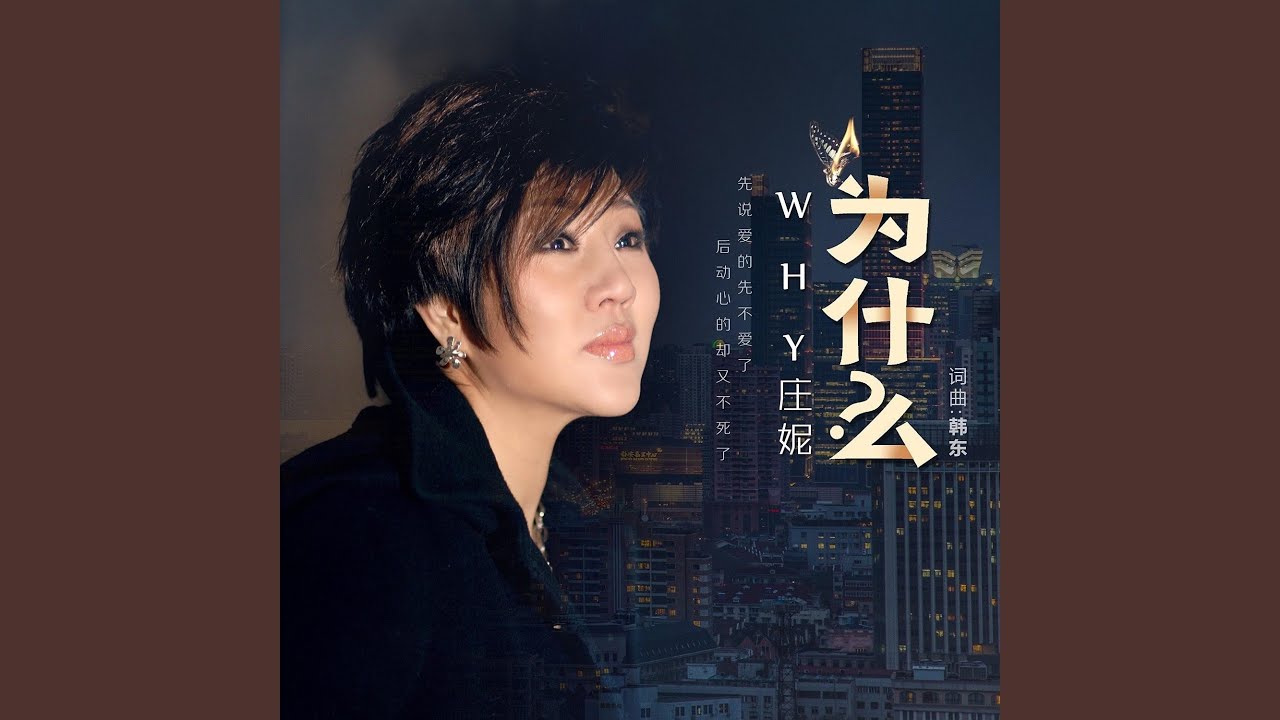 为什么 (DJ何鹏版)
