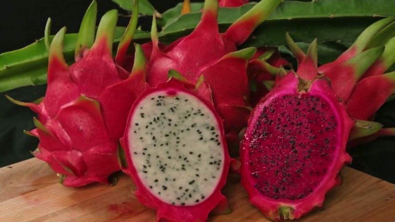 Cube Star International Ltd. - Dragon Fruit for Global Export-Import