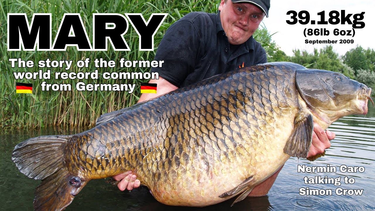 Mary - The story of the 2009 World Record common carp from Germany