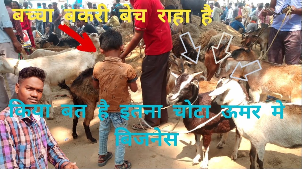 #Anandpur Tuesday market khansi and other Bazar !! ?