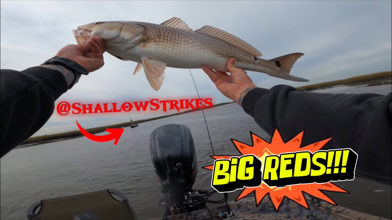 PART 2 FLATS FISHING with @ShallowStrikes #fishing #viral