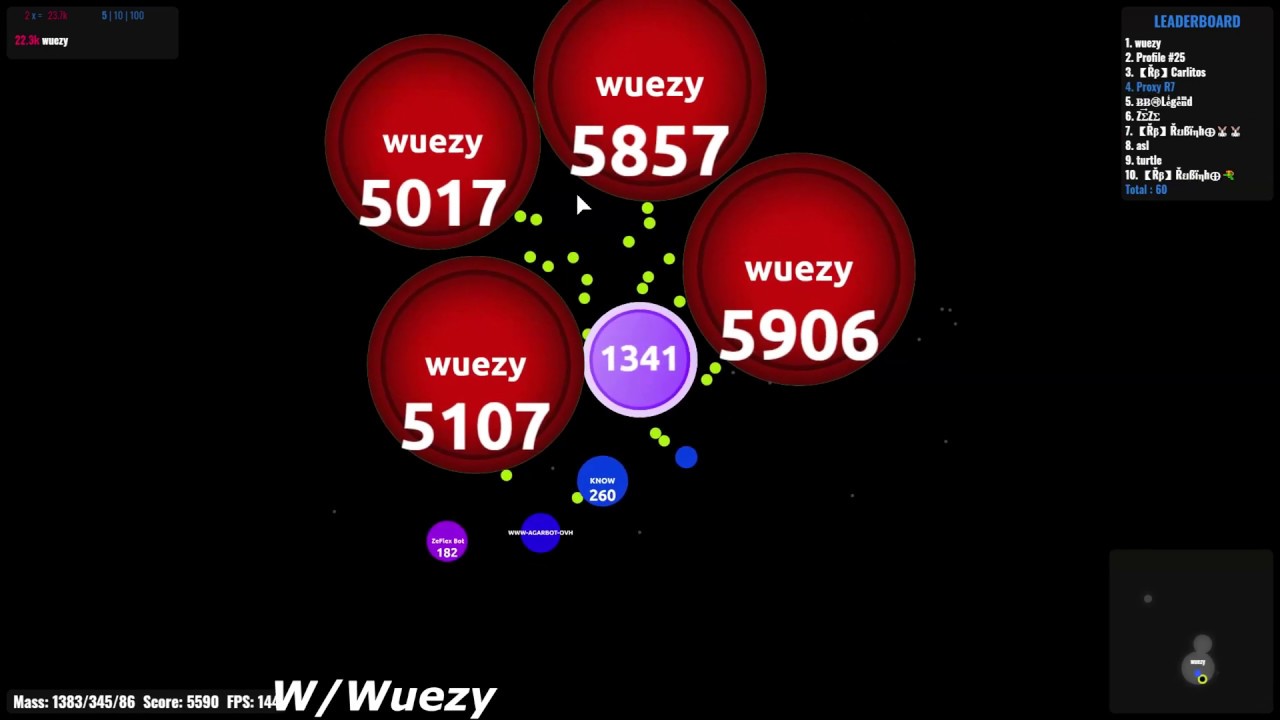 Agar.io | Duo Takeover #9 w/Wuezy