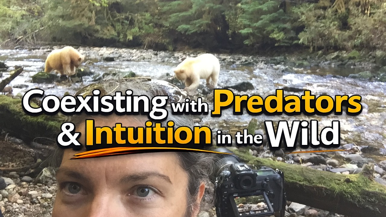 Where Intuition Meets the Wild - With Karine Genest