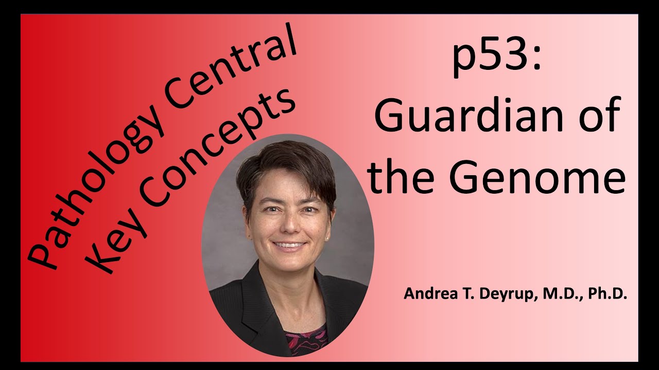 Pathology Central Key Concepts: p53
