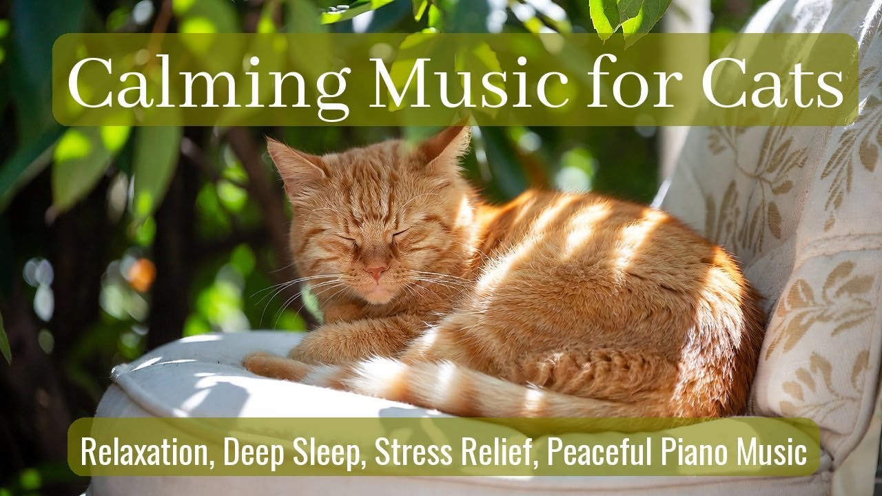 Calming Music for Cats - Relaxation, Deep Sleep, Stress Relief, Peaceful Piano Music | Season 90