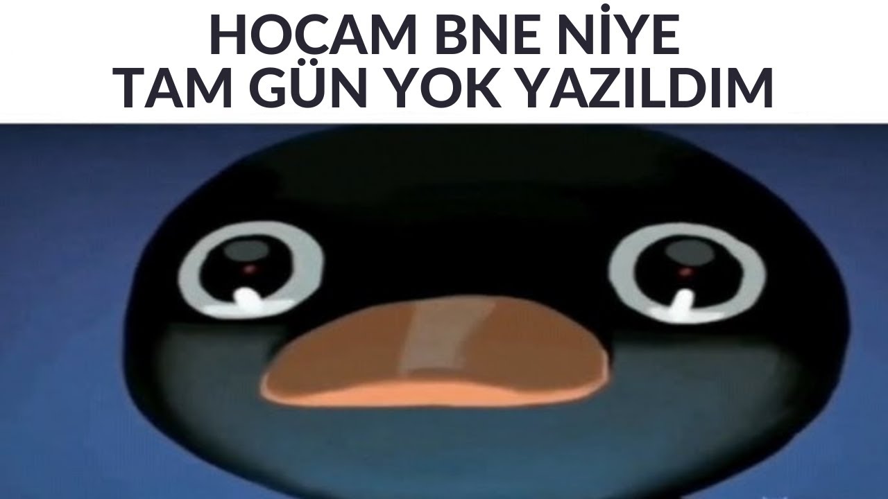 Milli Eğitimin Açığını Buldum ( TAM GÜN YOK YAZILDI )