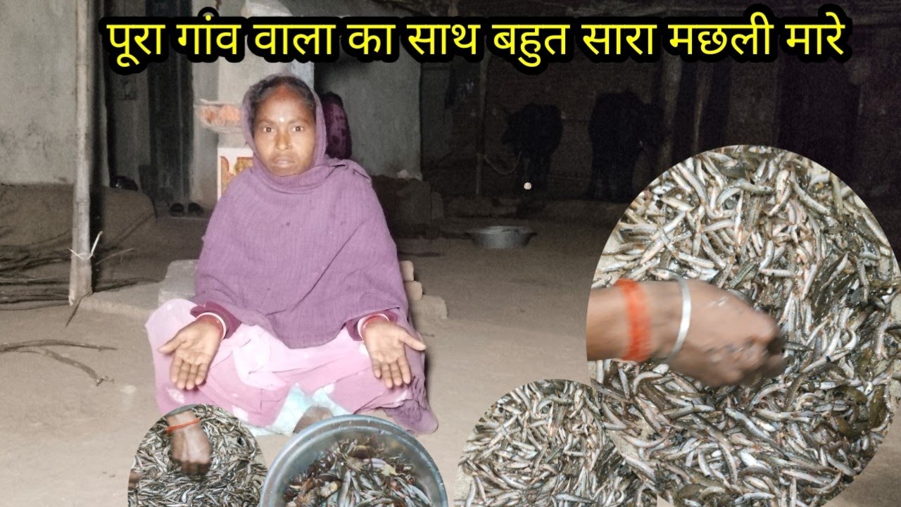 पूरा गांव वाला का साथ बहुत सारा मछली // budhni Ki Duniya