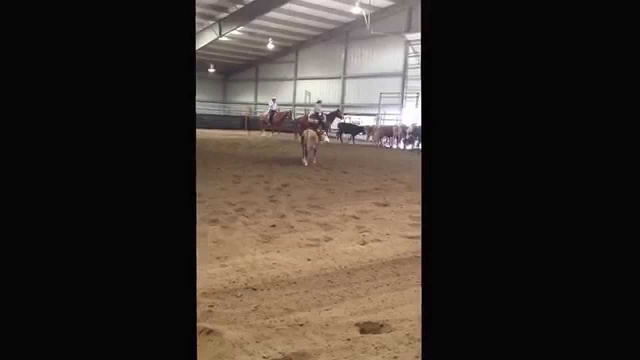 Western Nevada Cutting Horse Association - Fallon Show May 17 - Gamblers Headacre