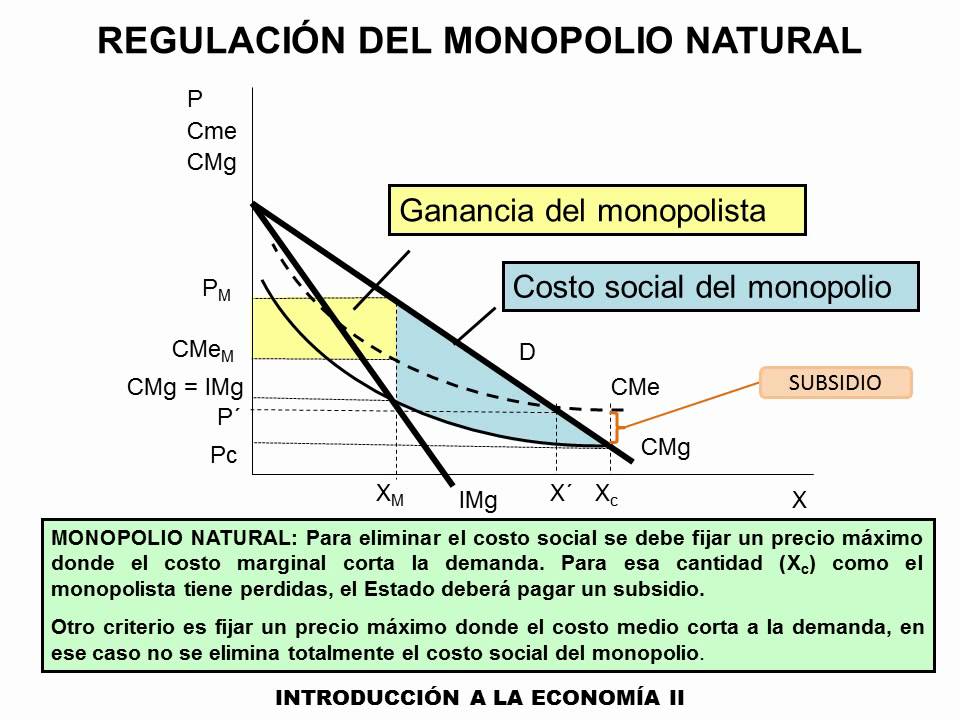 20-Regulacion del monopolio natural