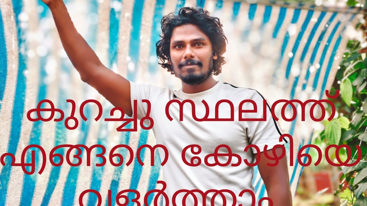 കുറച്ചു സ്ഥലത്ത് എങ്ങനെ കോഴിയെ വളർത്താം#chicken #nadan #kozhivalarthal 