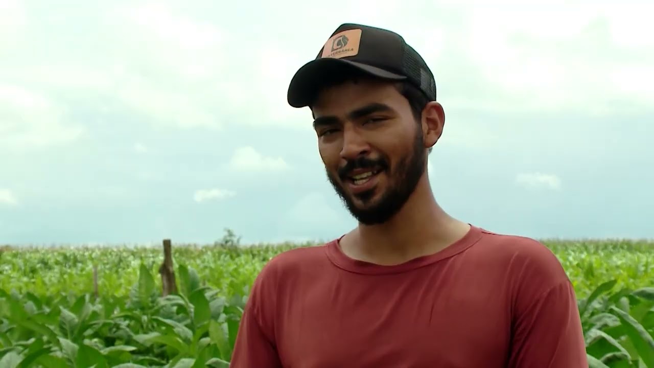 TV Gazeta: assista ao Gazeta Rural com Ricardo Amaral - 11/01/2026