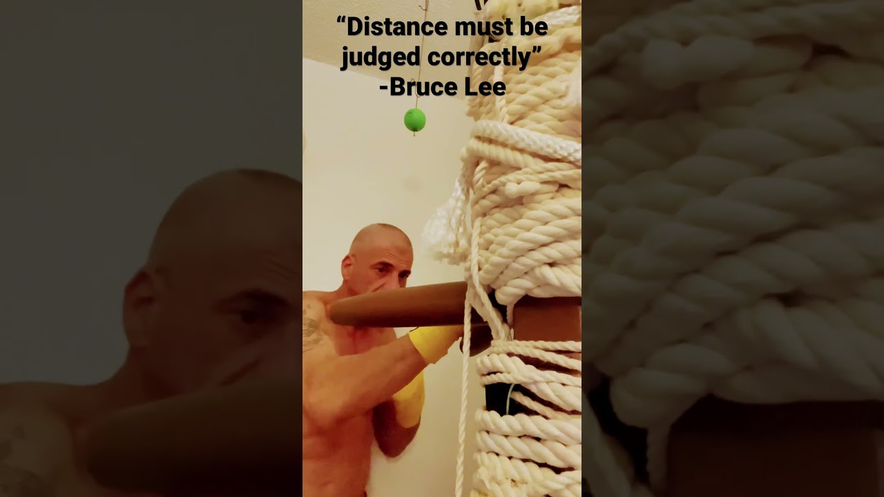 T&rsquo;ai Chi Chuan Grand Ultimate Fist Internal Whole Body Power