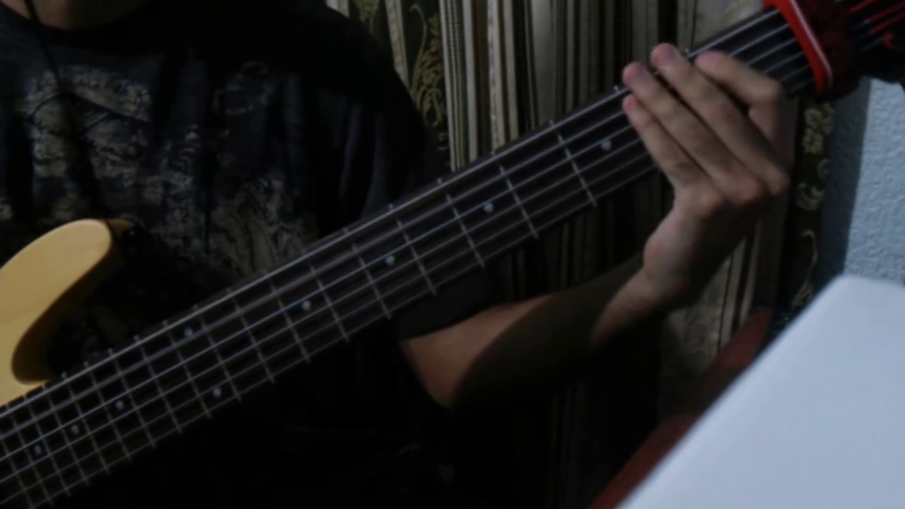 La Elegida - Bajo- Gaita Zuliana- Los Chiquinquireños