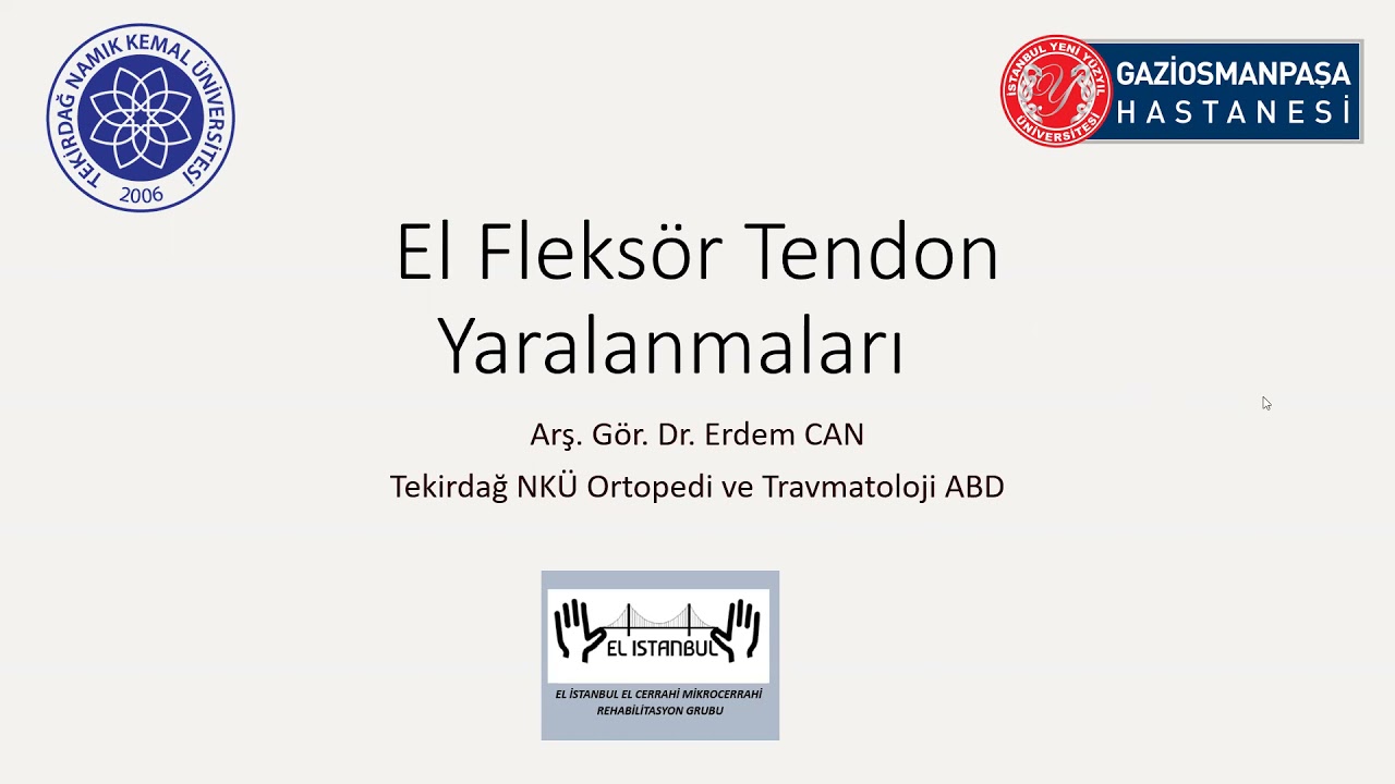 fleksor tendon yaralanmaları