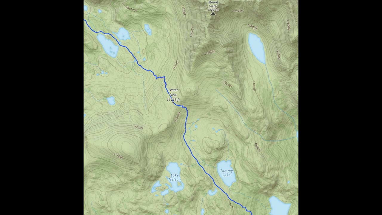 10-Questions: Neighborhood strolls, being a dog, hobbies, and more