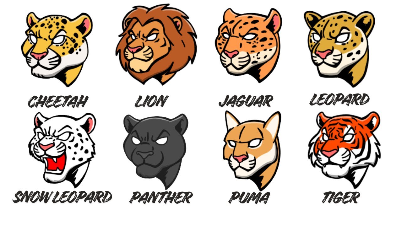 Every BIG WILD Cat Explained in 13 Minutes