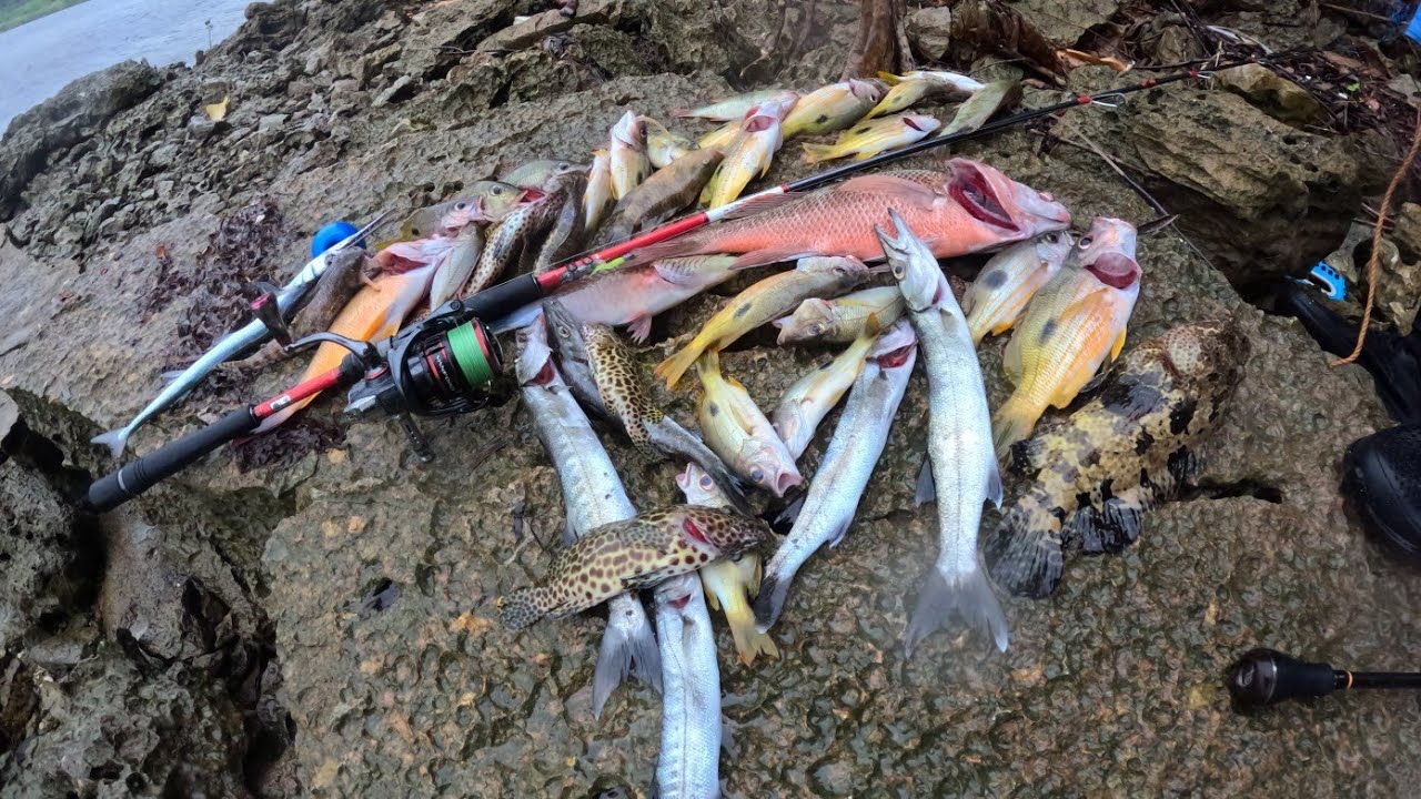 HINDI MO AKALAIN na kakagat sa GILID ang isdang ito 😱