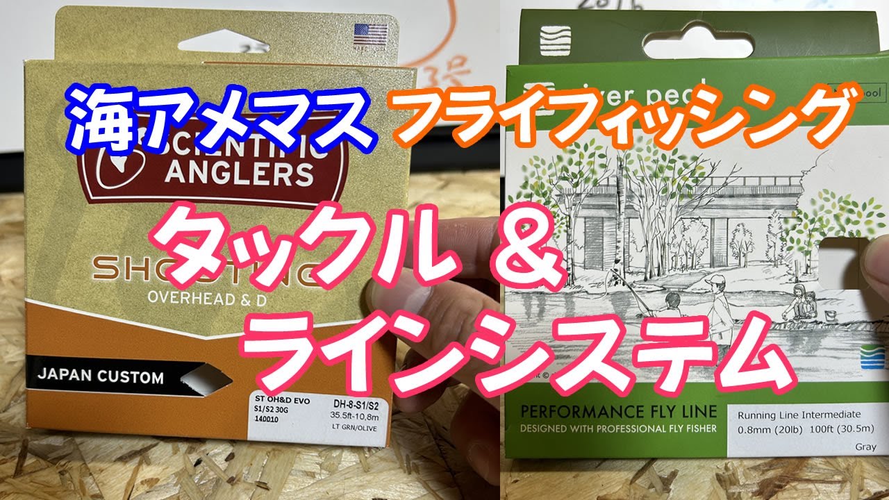 No.423 海アメマスのタックルandラインシステムを紹介[フライフィッシング][fly fishing]