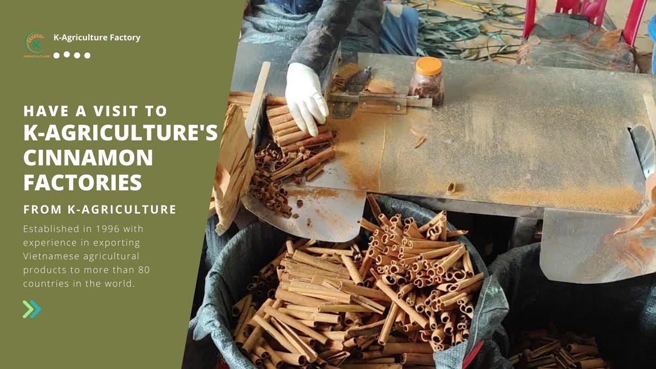 A day in K-Agriculture's Cinnamon Factory