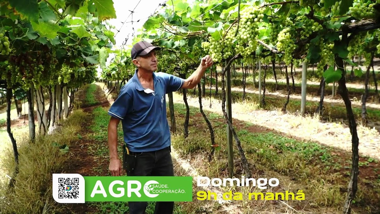 AO VIVO: Balanço Geral Florianópolis | 13/02/2026 | NDTV RECORD