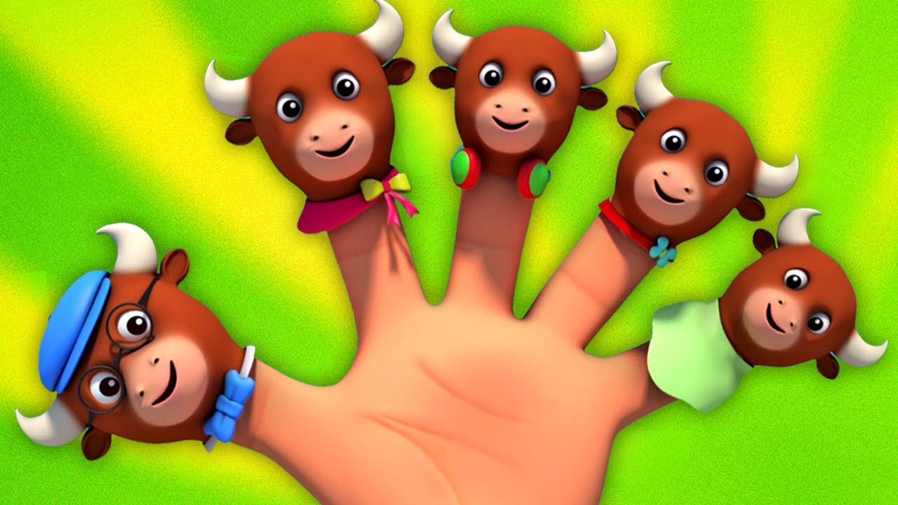 Bulls gia đình ngón tay | vần điệu ở việt nam | Bulls Finger Family