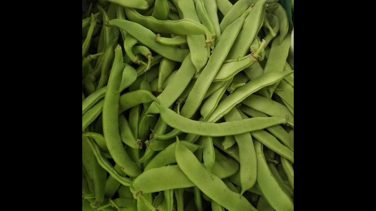 Italian Pole Beans, Stewed with San Marzano Tomatoes