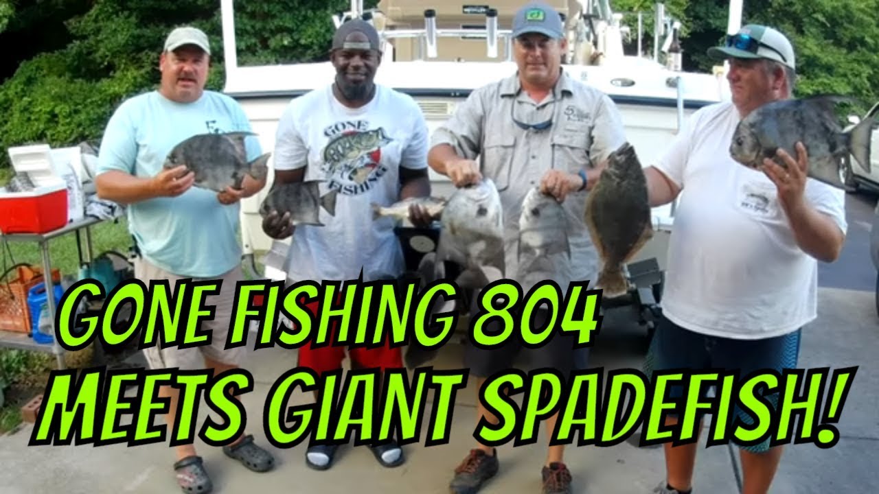 Gone Fishing 804 Gets Spadefish in the 757 with SGO!