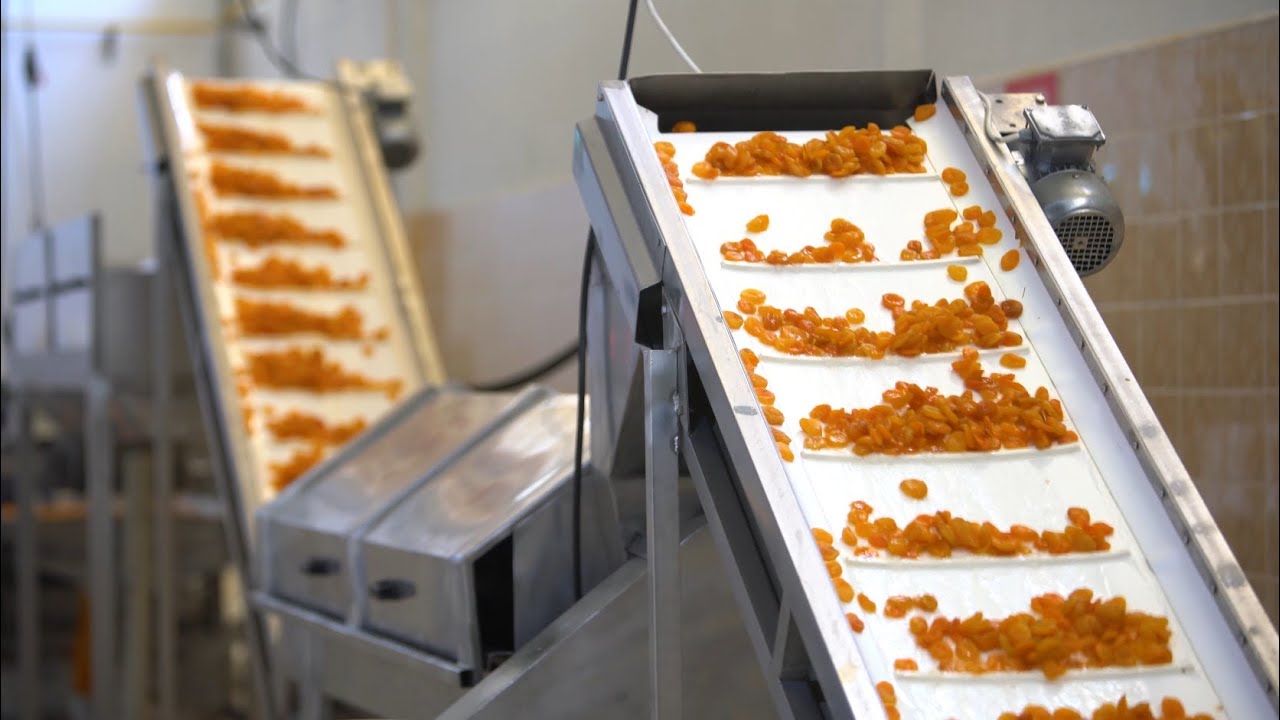 Deniz Foods Corporate Presentation Film | English - 2023