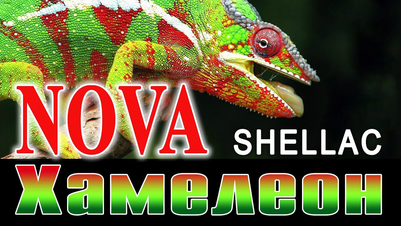 Шеллак Nova: серия Хамелеон
