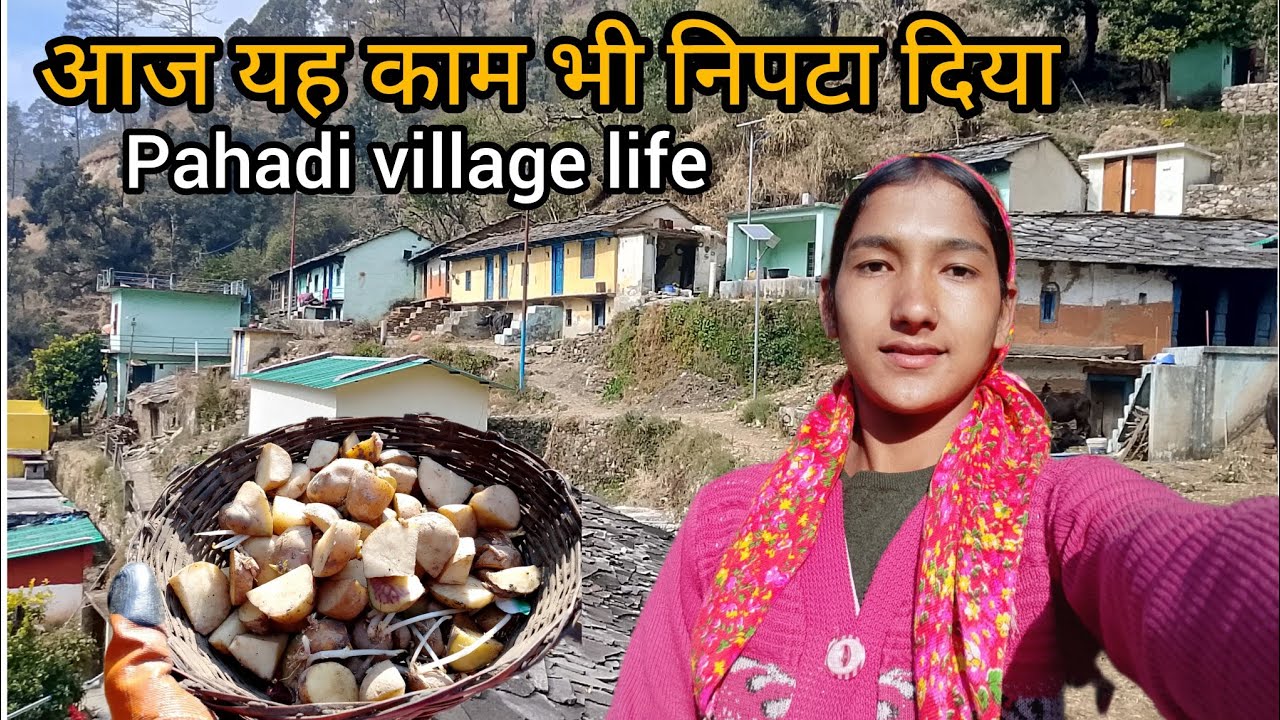 पहाड़ों में फिर से खेतों के काम शुरू हो गए 😓|| pahadi lifestyle vlog 