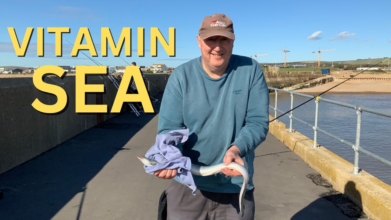 Fishing Adventures at Shoreham West Arm: A Challenging Day and Beautiful Weather