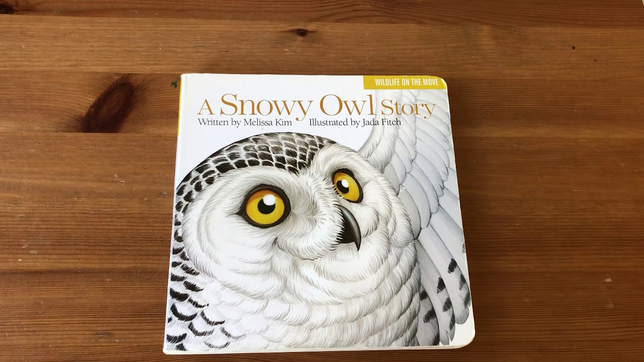 The Snowy Owl book- read aloud
