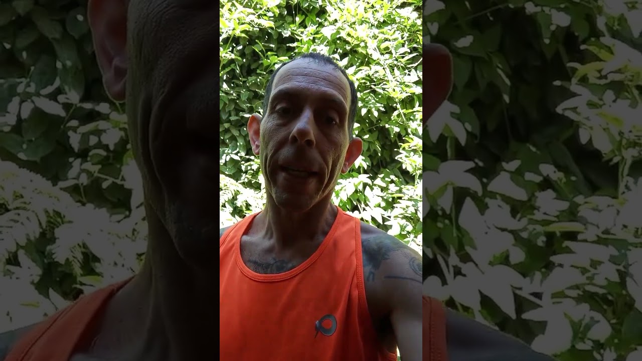 ¿No tienes dinero, ni trabajo? ¡Está planeado!