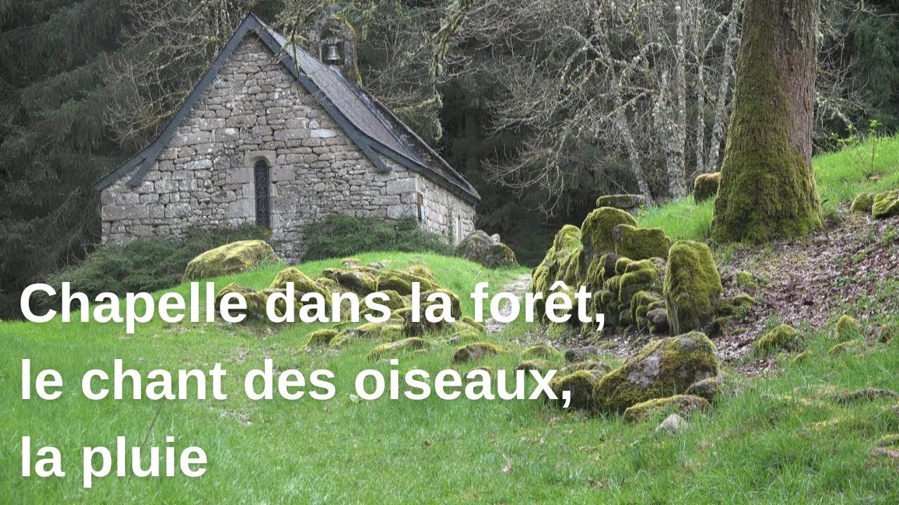 Moment de calme au printemps, dans la campagne, sous la pluie