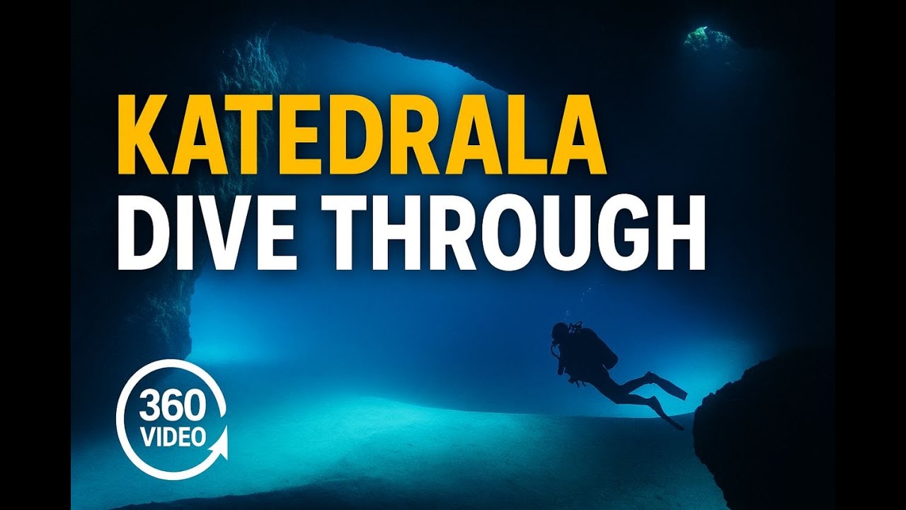 [360 video] Ronjenje na Katedrali (otok Premuda) / Scuba diving Katedrala (Premuda island, Croatia)