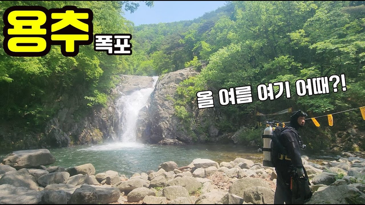 올 여름 여기 어때?! 금속탐지기로 용추계곡 털러왔습니다! 같이 가요!